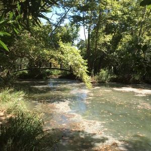 Meet your Posher, Annette